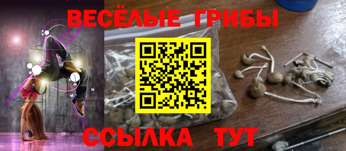 Брянск  Псилоцибиновые грибы Cubensis  Вход с VPN 
